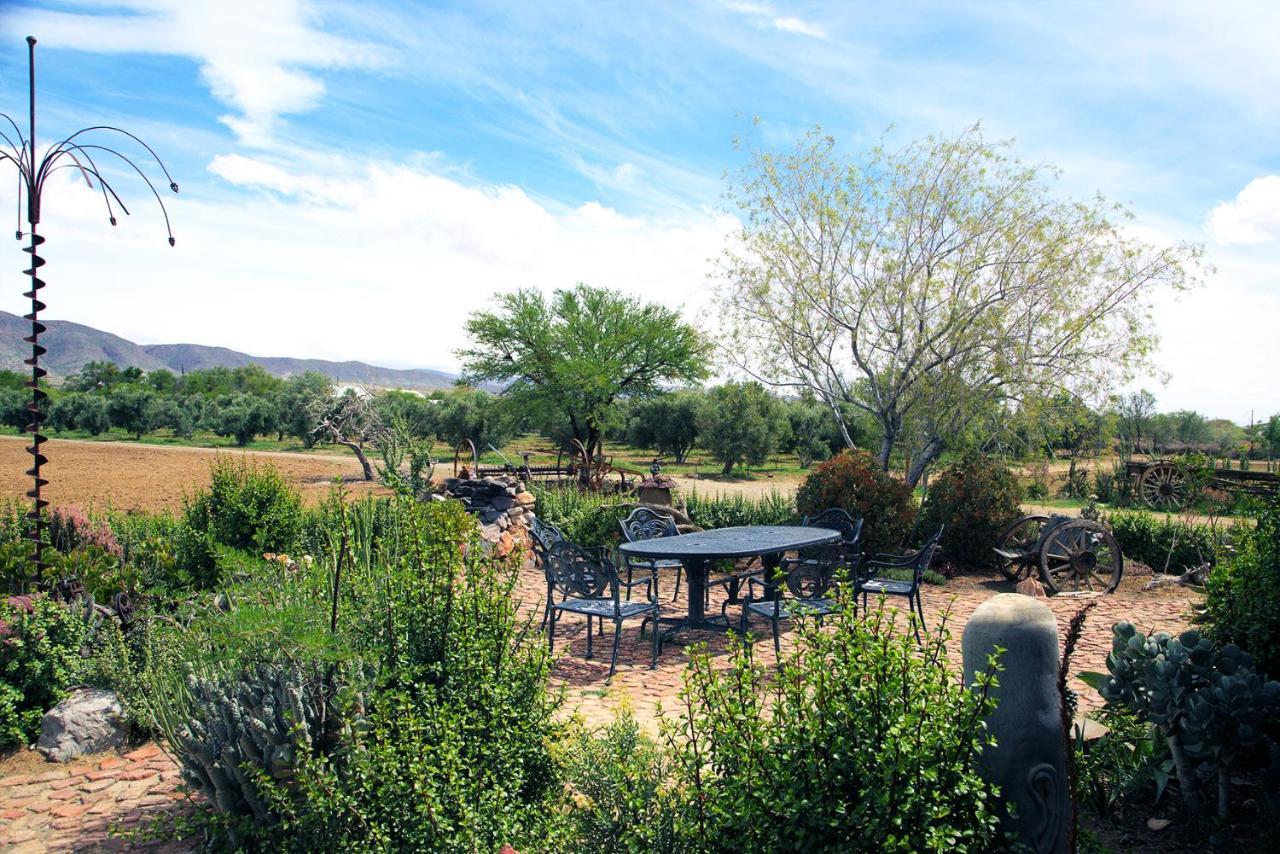 Aloe Guest House Prince Albert Buitenkant foto