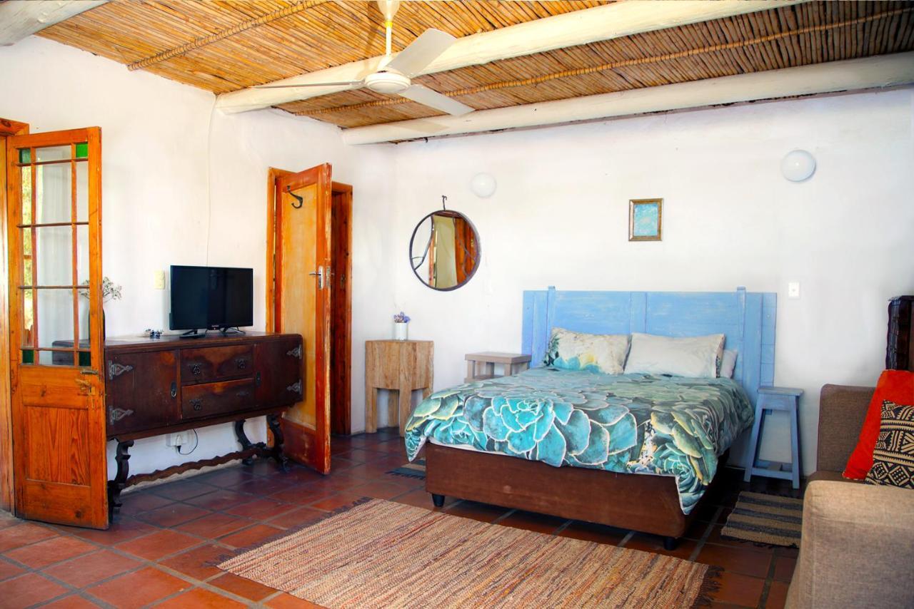 Aloe Guest House Prince Albert Buitenkant foto