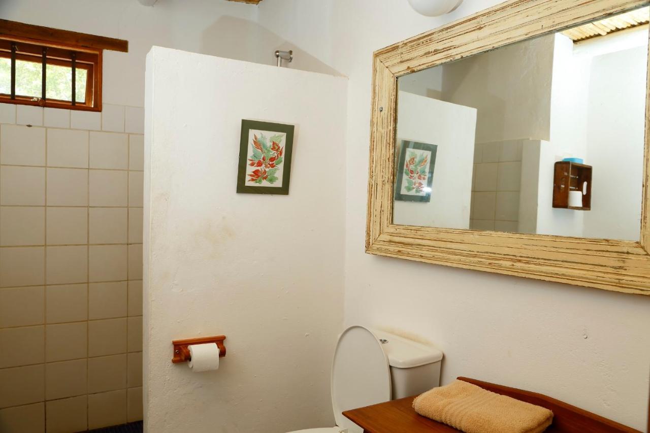 Aloe Guest House Prince Albert Buitenkant foto