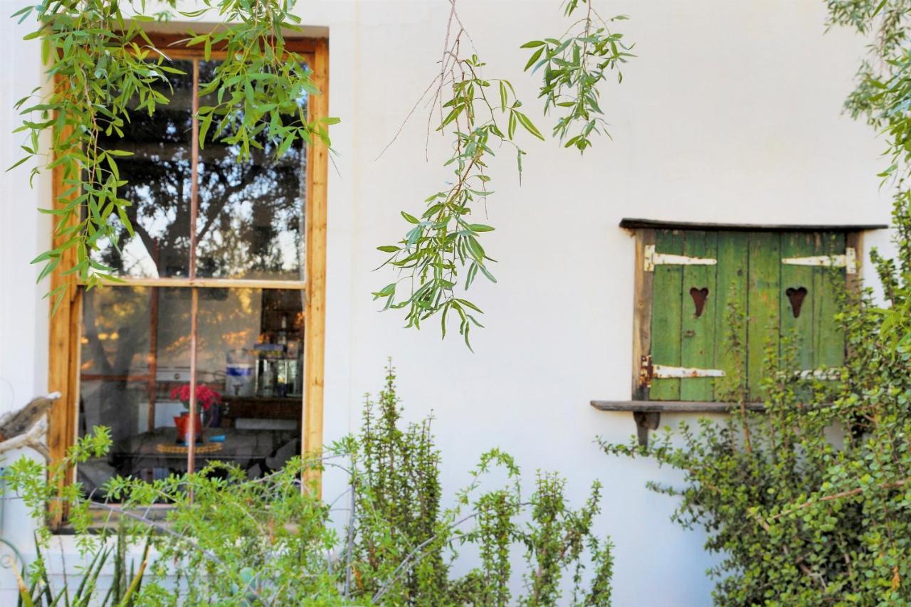 Aloe Guest House Prince Albert Buitenkant foto