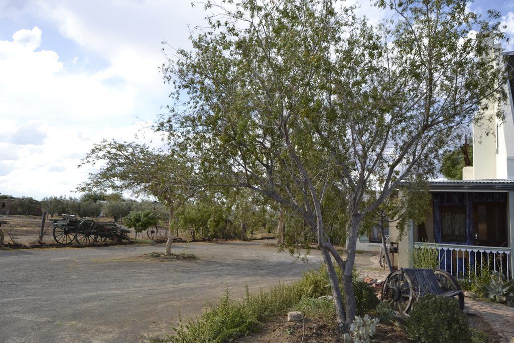 Aloe Guest House Prince Albert Kamer foto