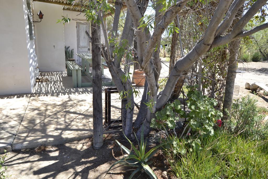 Aloe Guest House Prince Albert Buitenkant foto